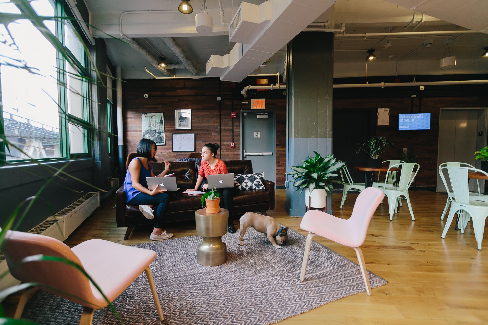 WeWork Dumbo Heights image 3