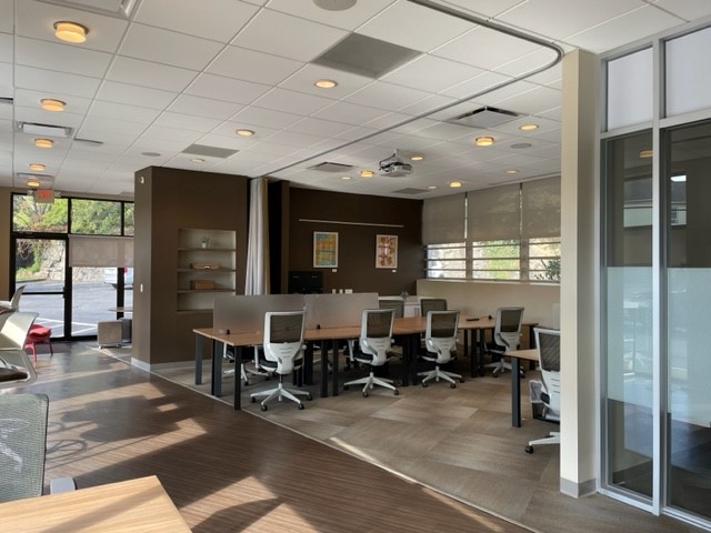 Serendipity Labs - Rye image 2