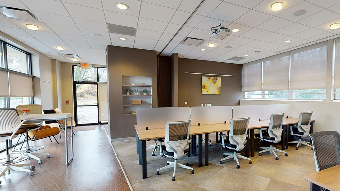 Serendipity Labs - Rye image 4