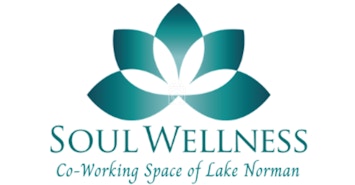 Soul Wellness profile image