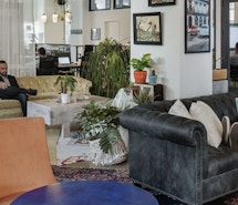 Limelight profile image