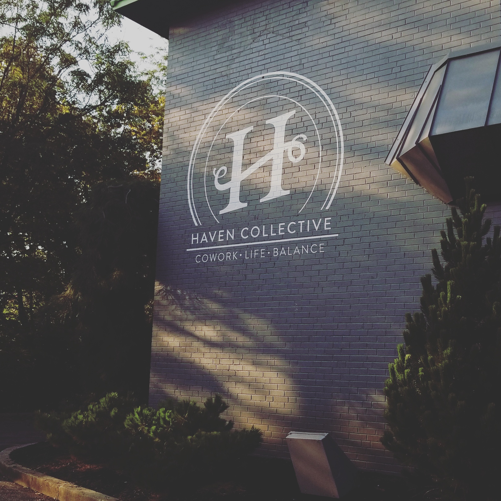 Haven Collective image 2