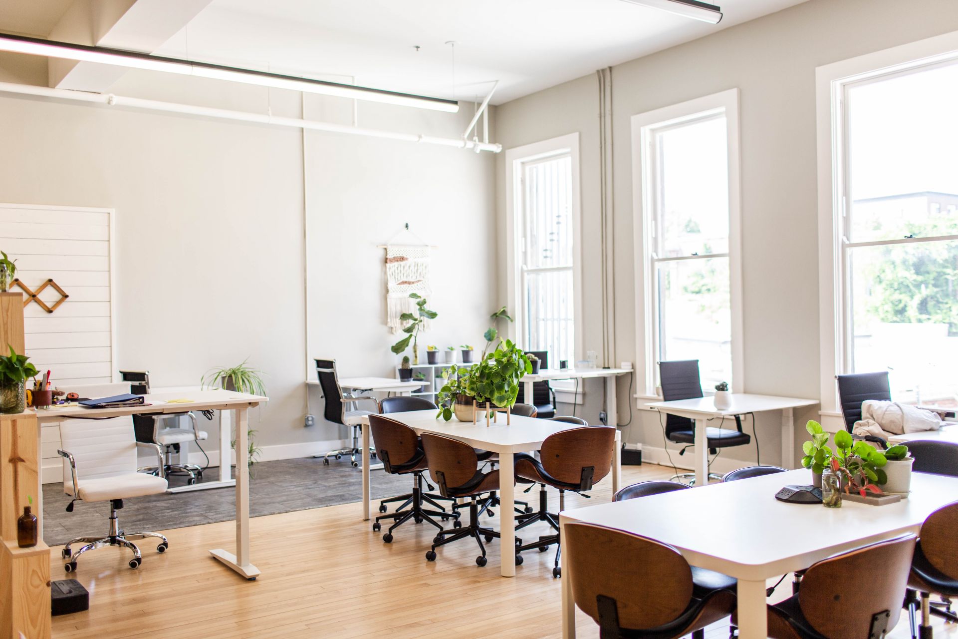 The Gray Lab image 2