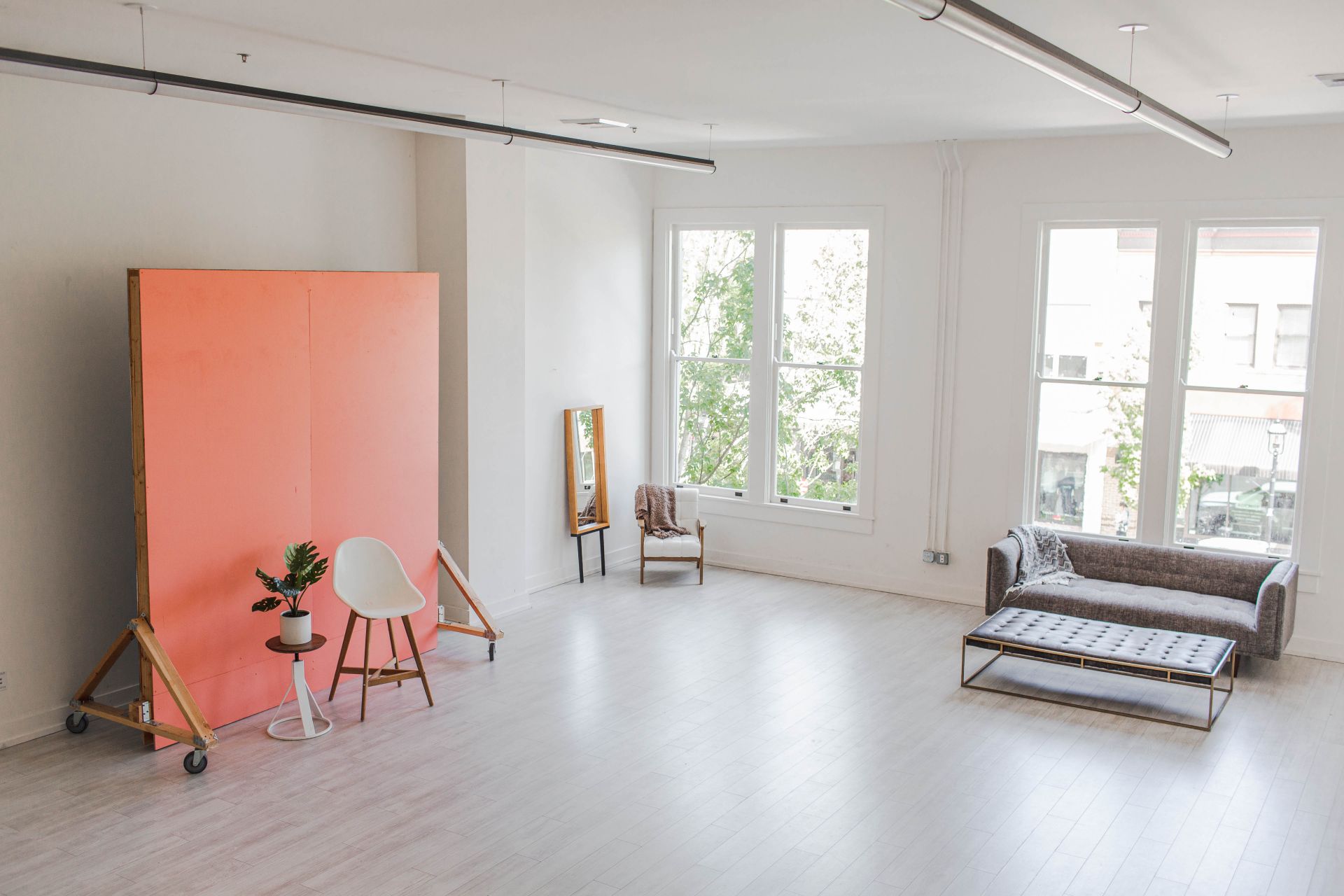 The Gray Lab image 3