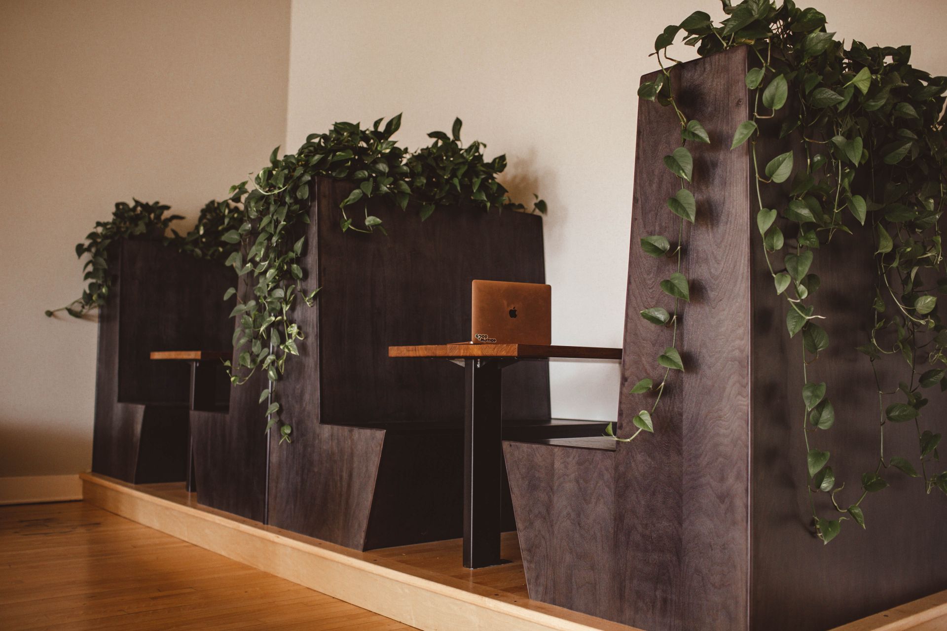 The Gray Lab image 5