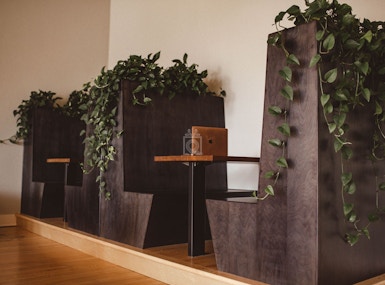 The Gray Lab image 5