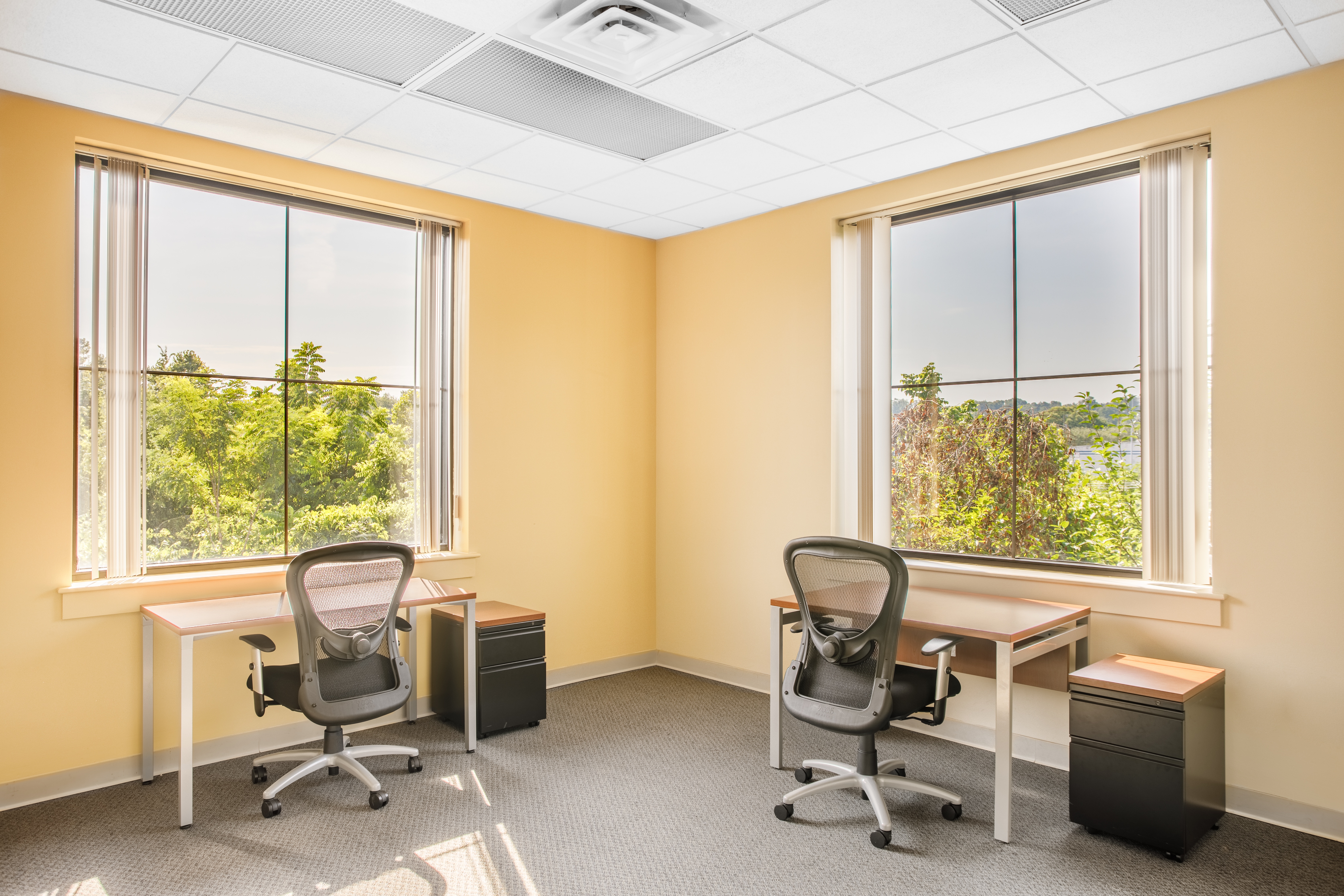 Regus - Tennessee, Knoxville - Cedar Bluff (Office Suites Plus) image 3