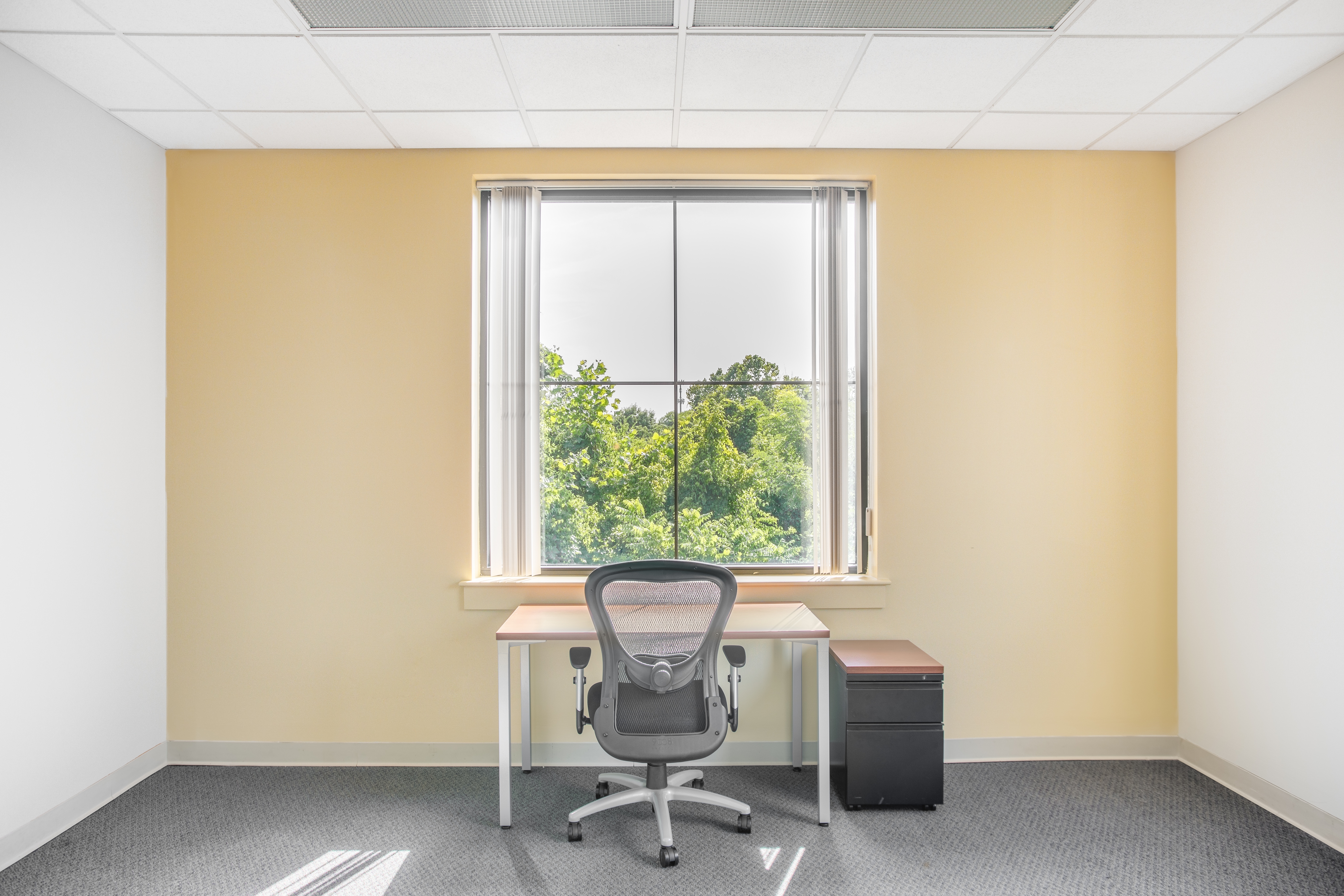 Regus - Tennessee, Knoxville - Cedar Bluff (Office Suites Plus) profile image