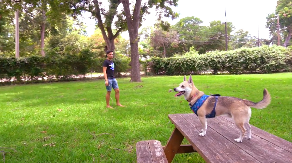 Createscape Coworking image 3