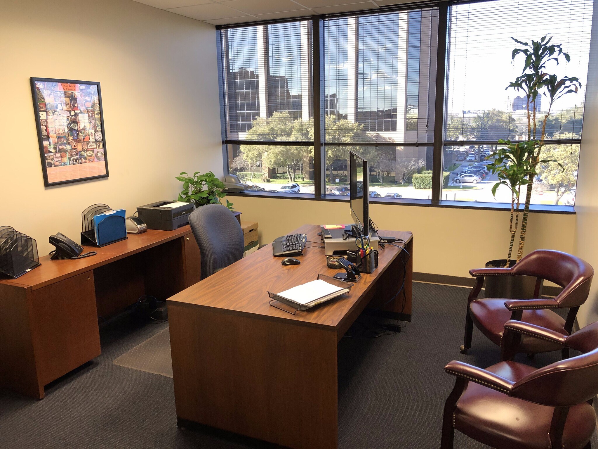 Twinrose Midway image 4