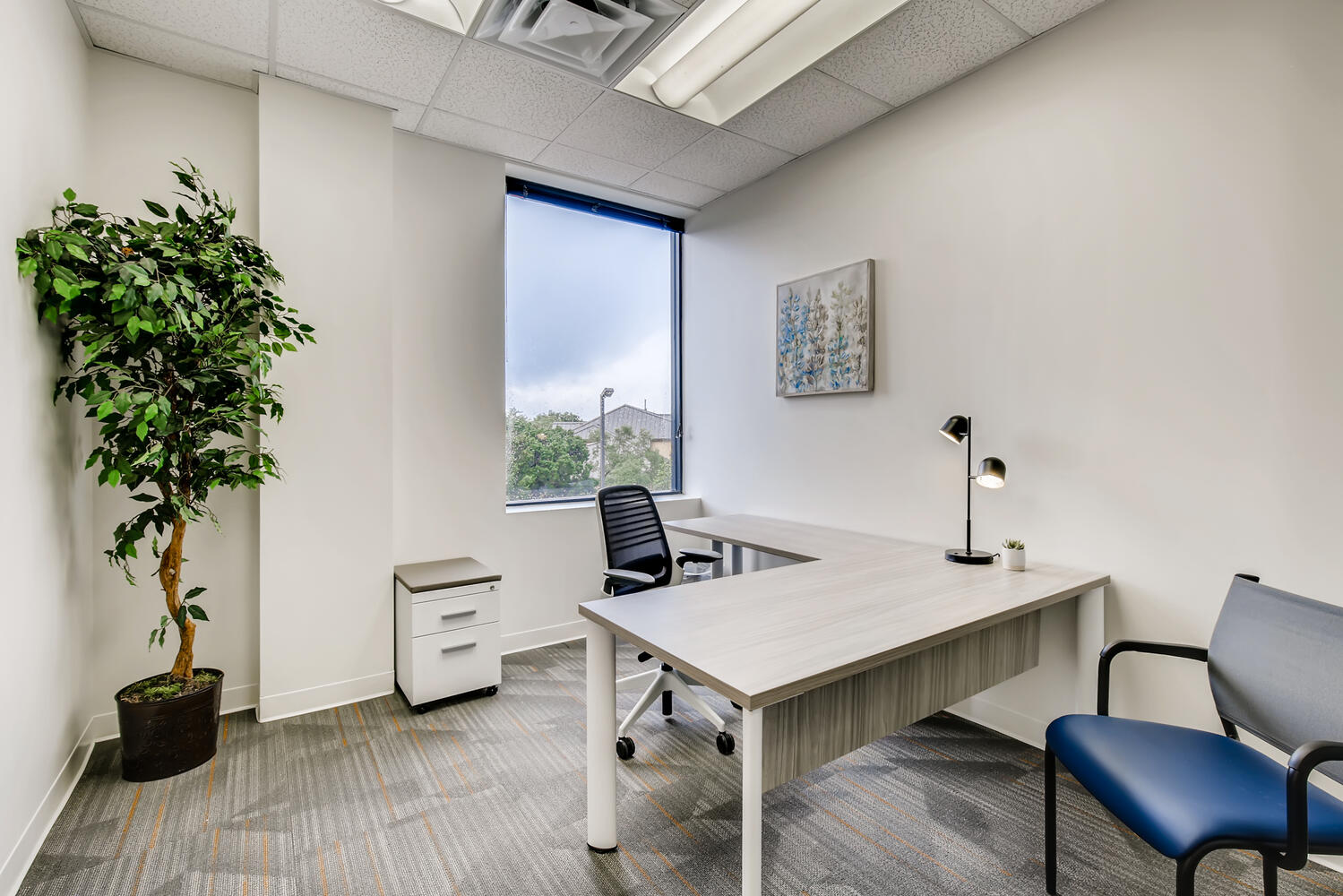 Office Evolution McKinney image 4