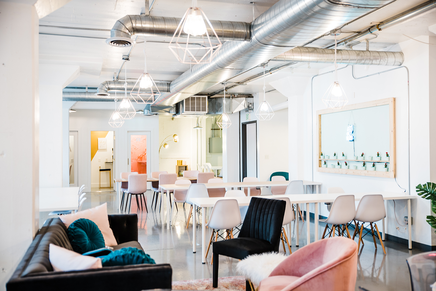 Ladybird Society image 3