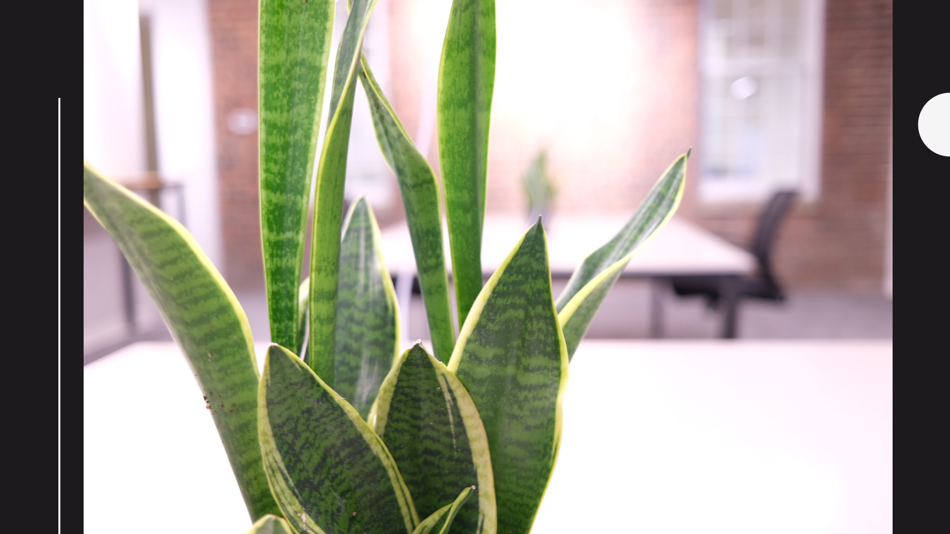 Vault Virginia image 5