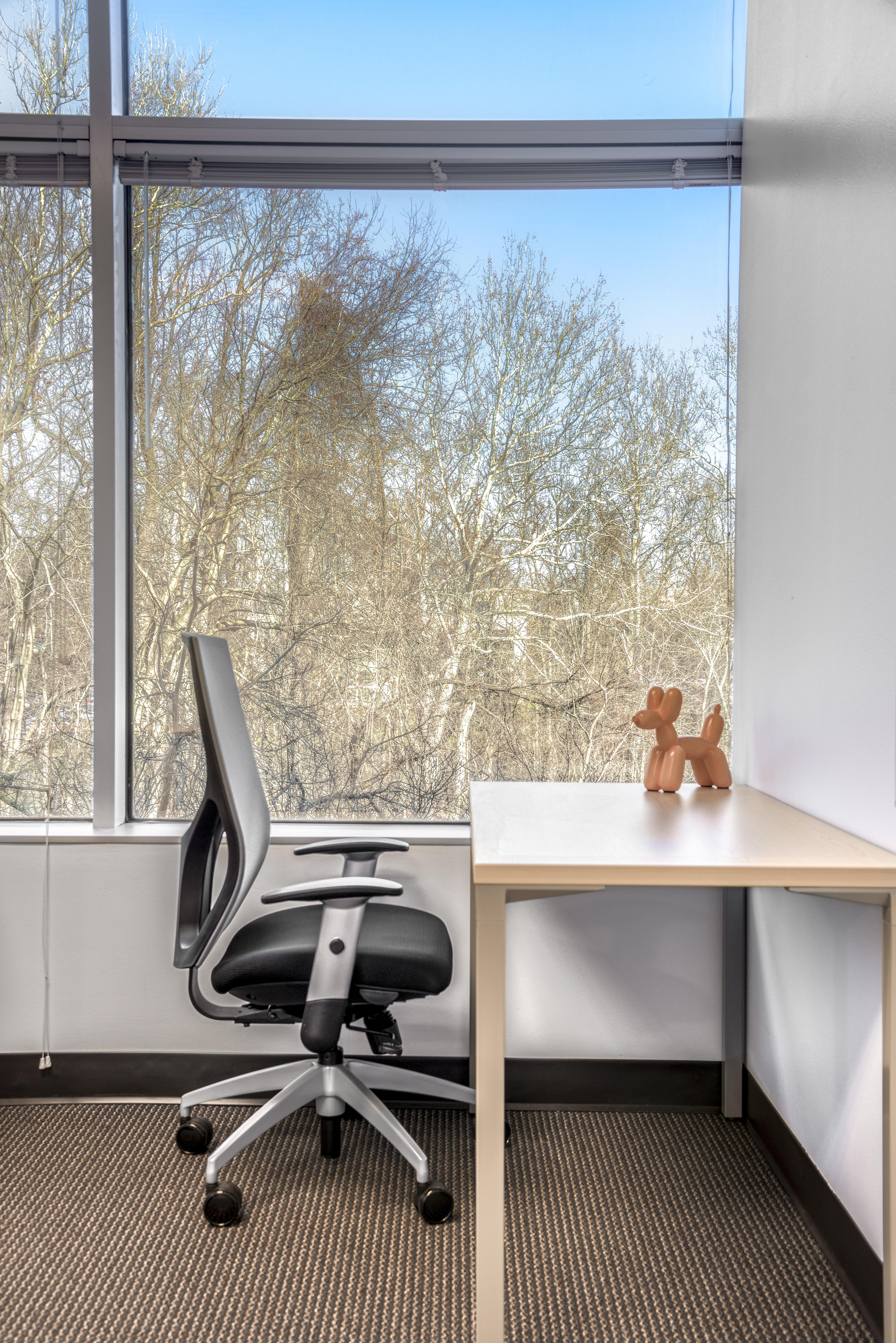 Regus - Virginia, Northern Virginia - Dulles Corner image 4