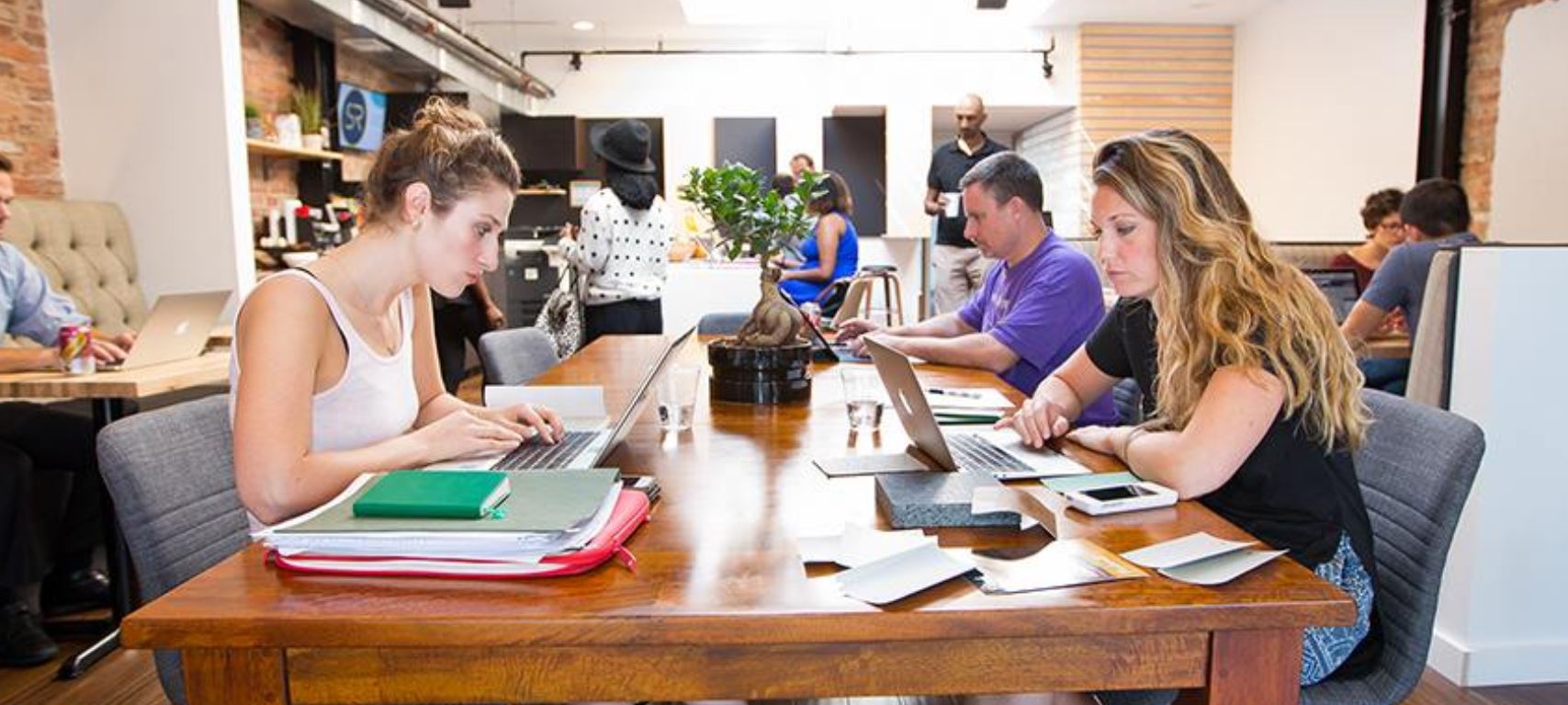 cove (7th St) image 5