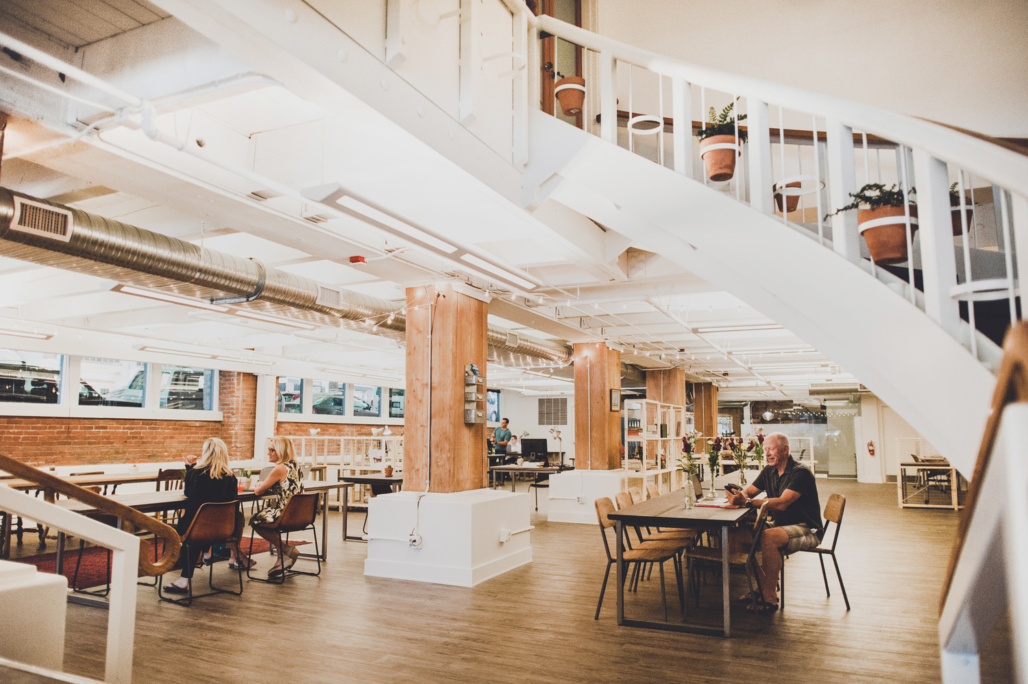 The Pioneer Collective image 2