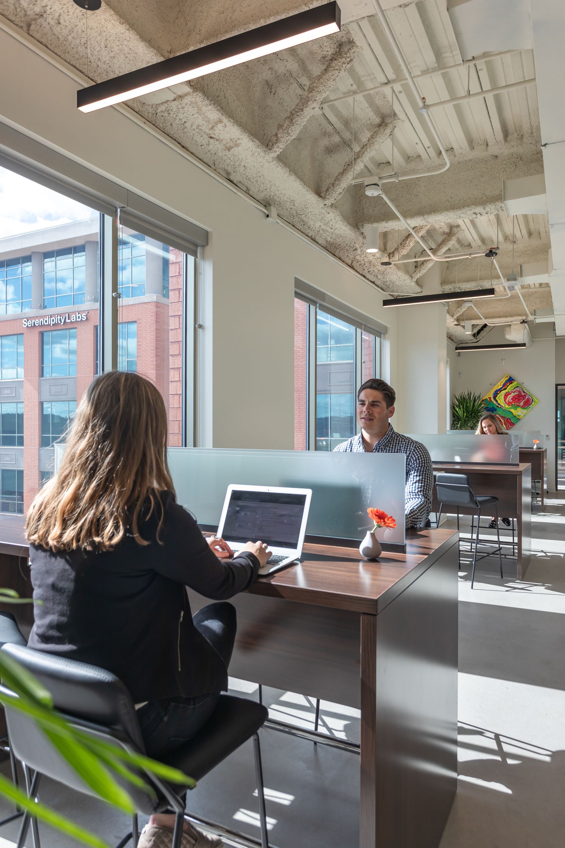 Serendipity Labs - Madison image 4