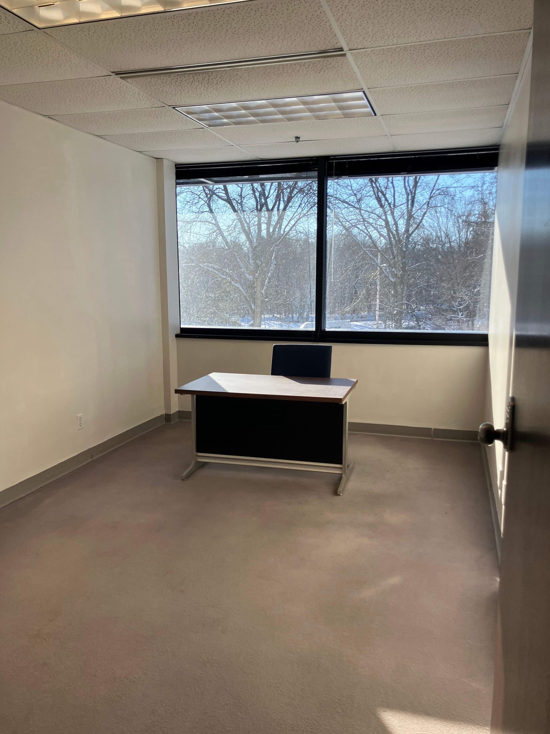 The Solarium image 5