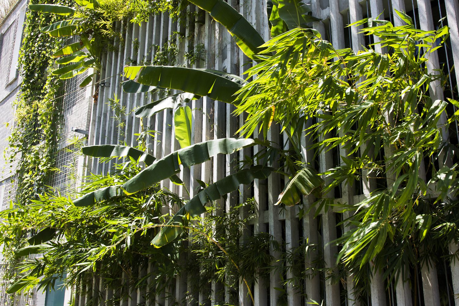 GREEN CO- Working Space & Meeting Da Nang image 5