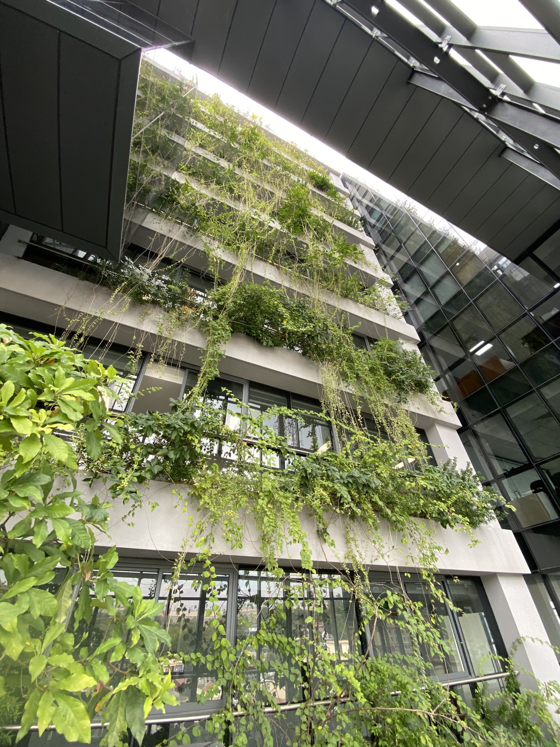 Meet Coworking Space image 4