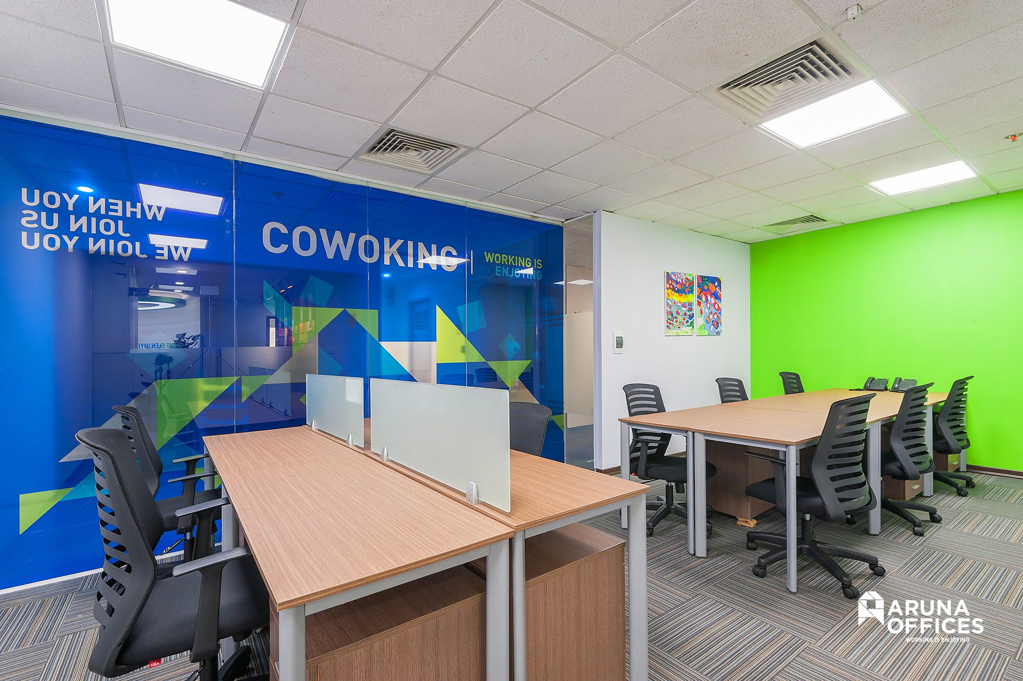 Aruna Licogi 13 image 4