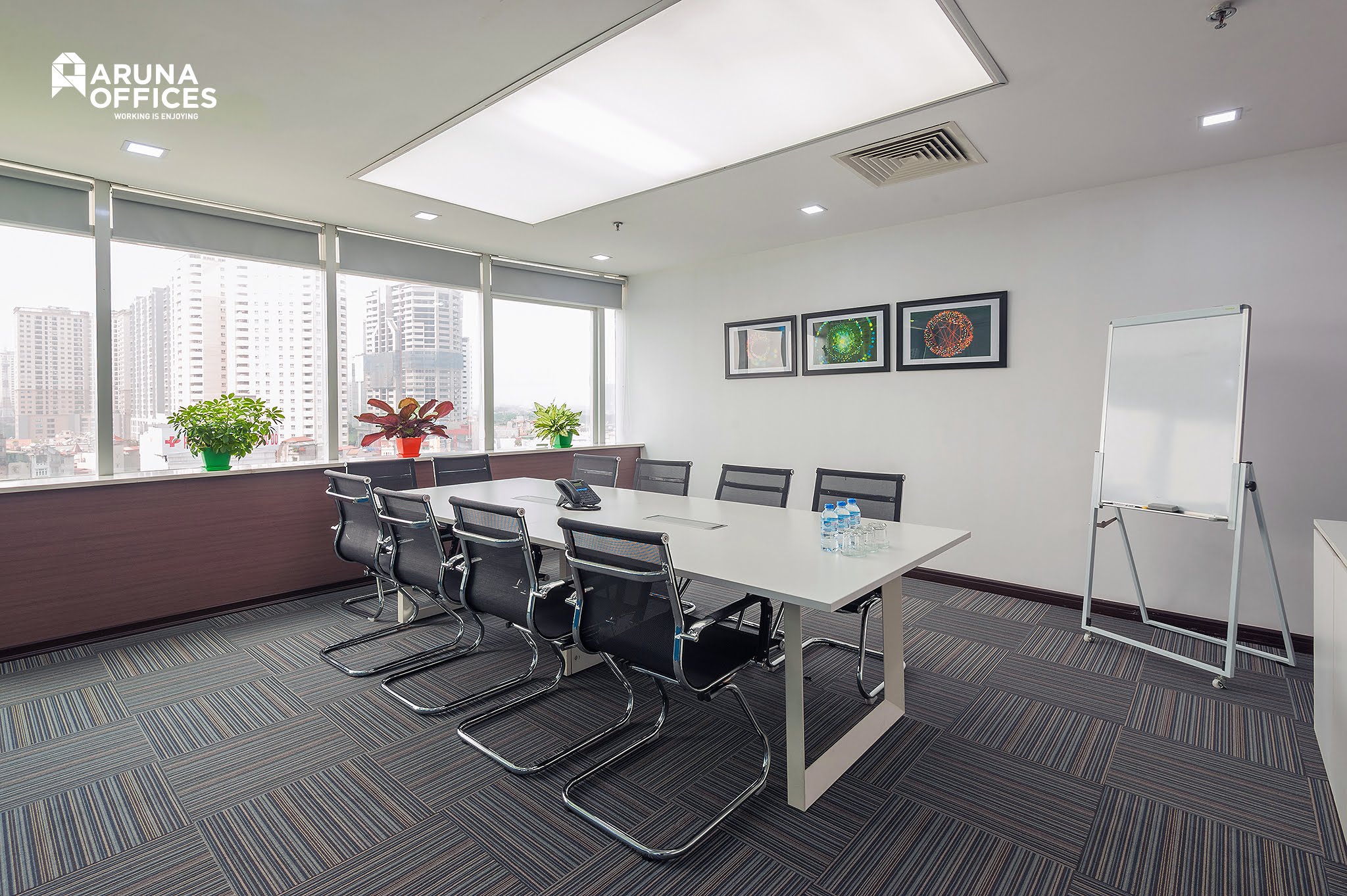 Aruna Licogi 13 image 3