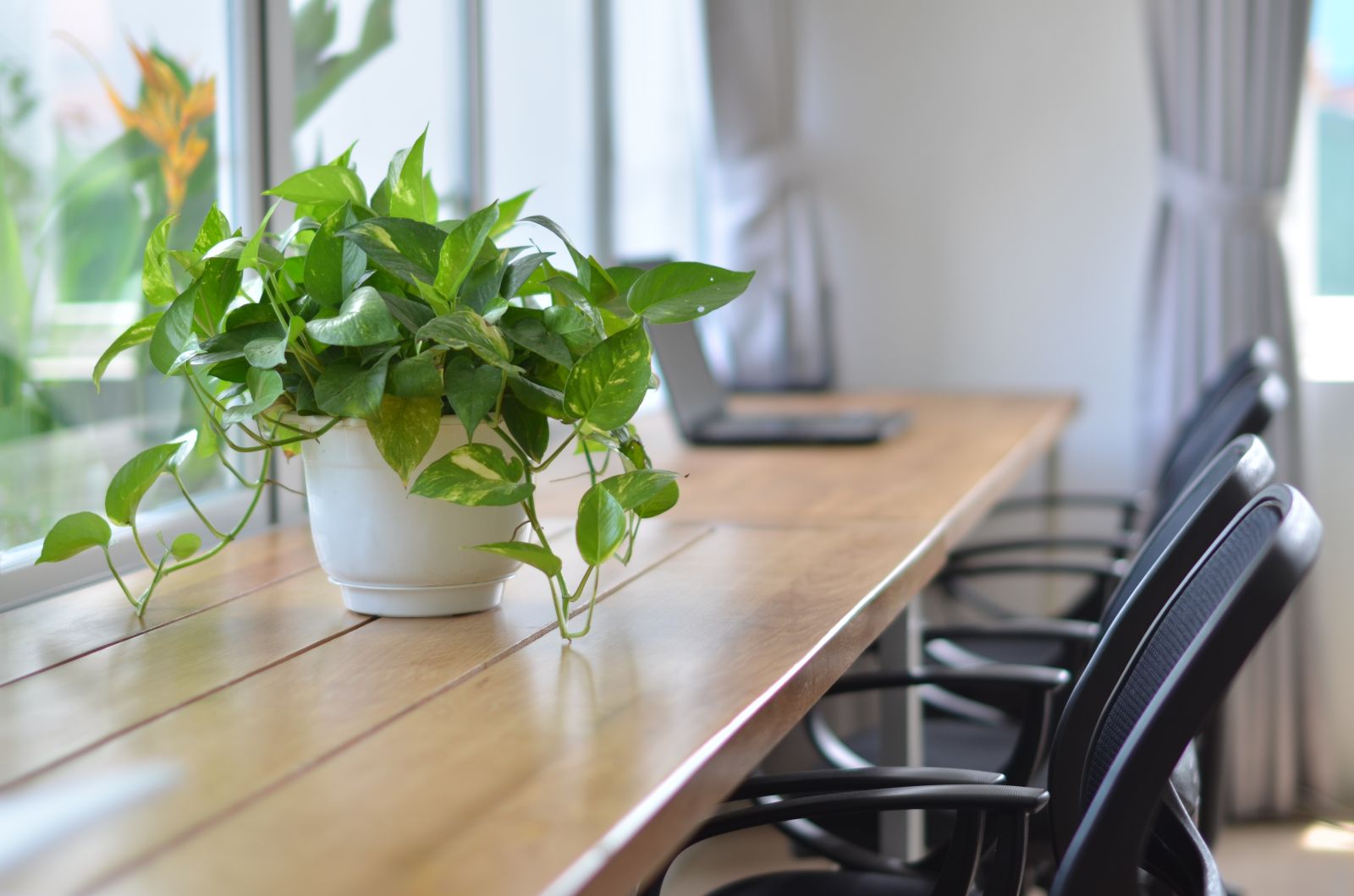 Moonwork Coworking Space image 3