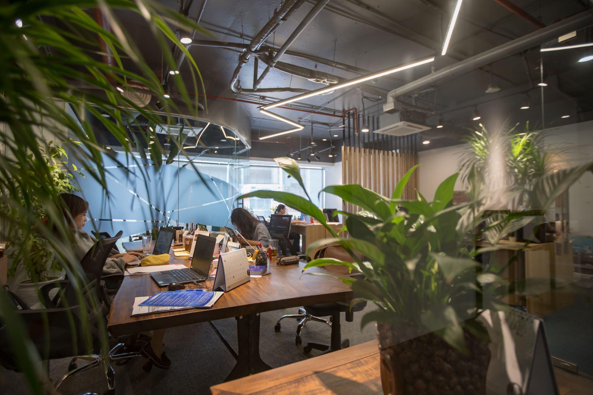 Toong - Hoang Dao Thuy image 5