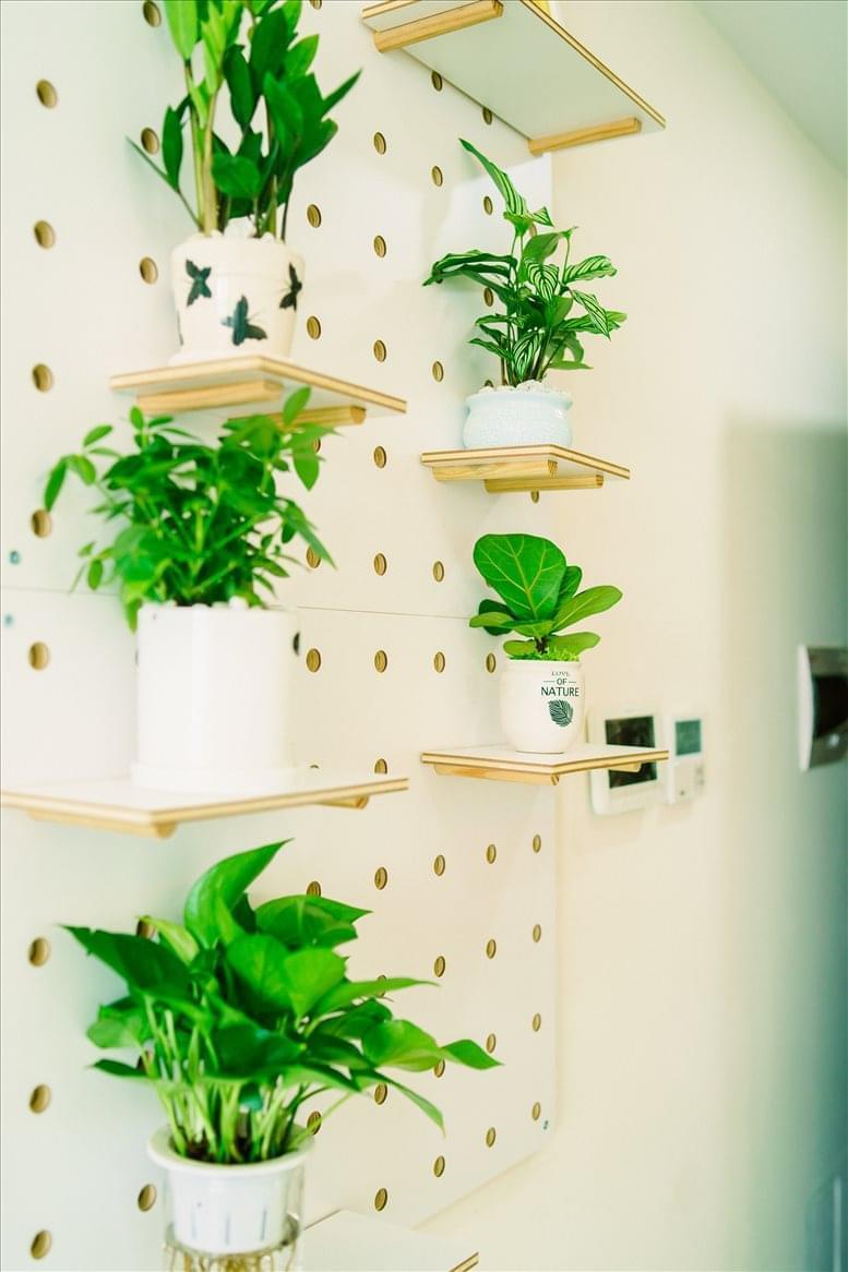 ICOLINK MANAGEMENT CO., LTD image 2