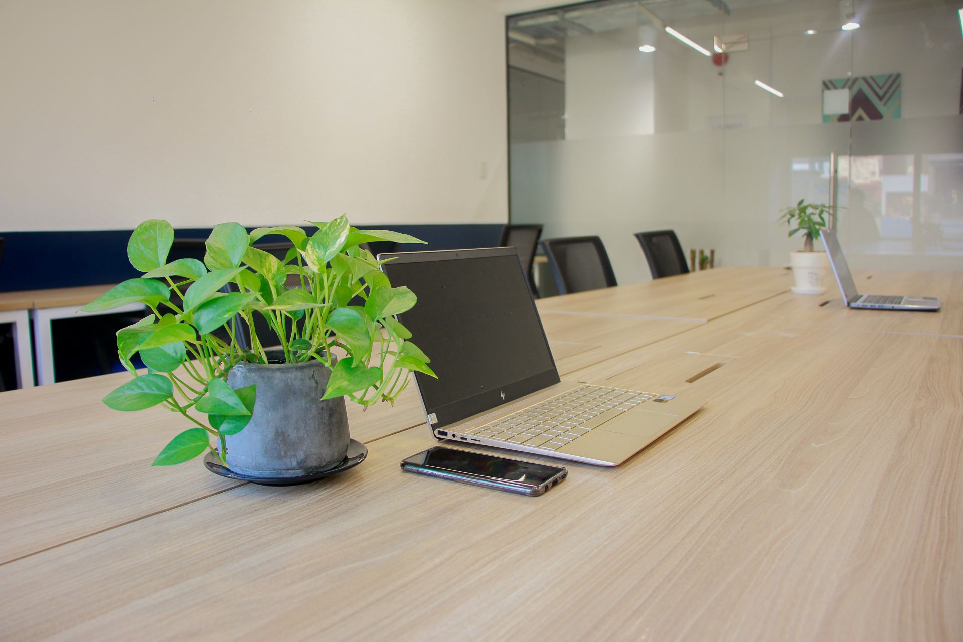 CirCO Hoang Dieu image 3