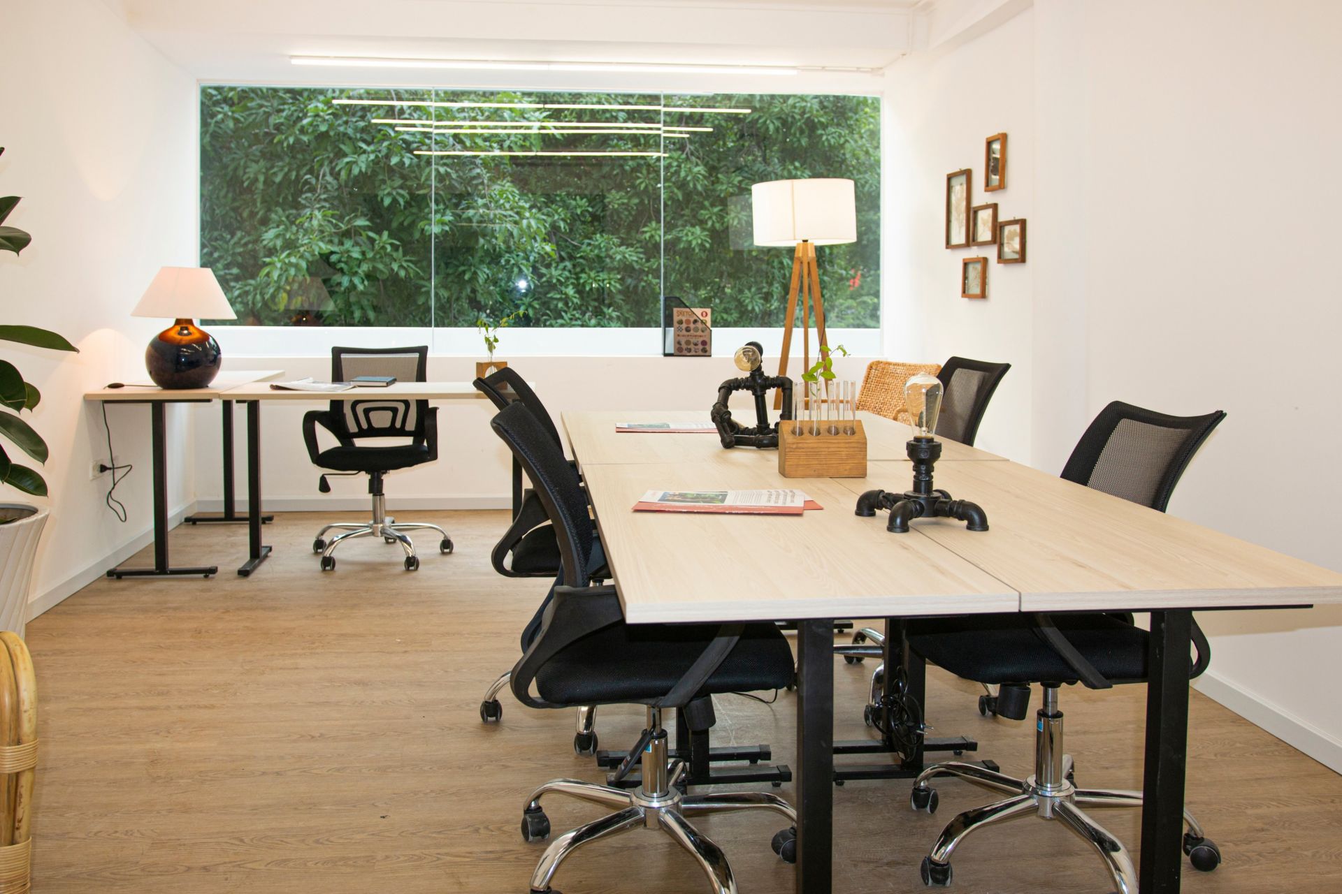 Toong Pham Ngoc Thach image 4