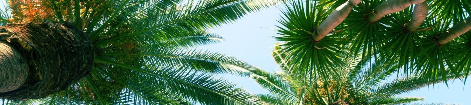 Picture of Rancho Santa Margarita