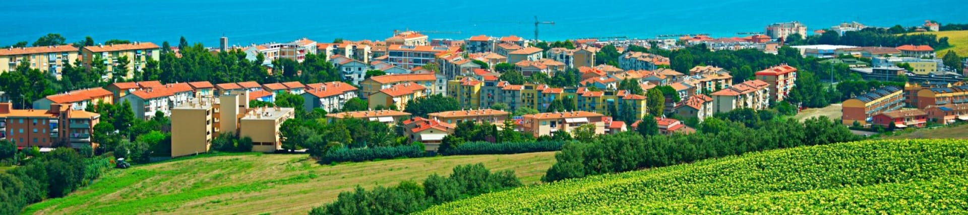 Picture of Ancona