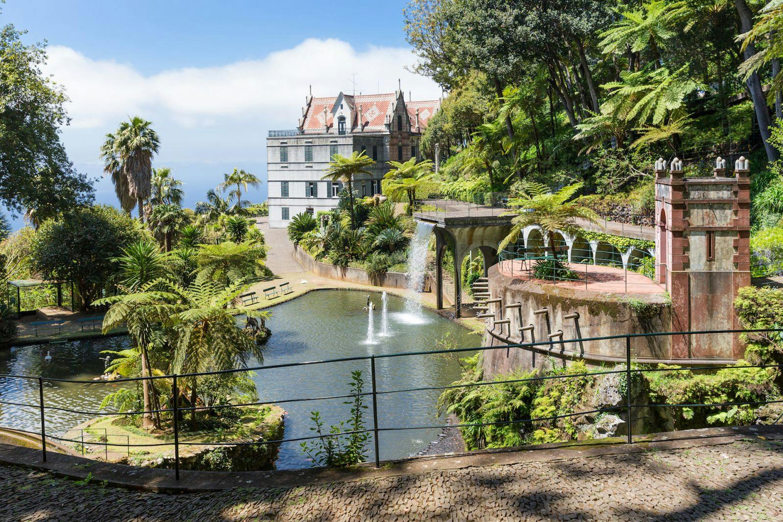 Picture of Funchal