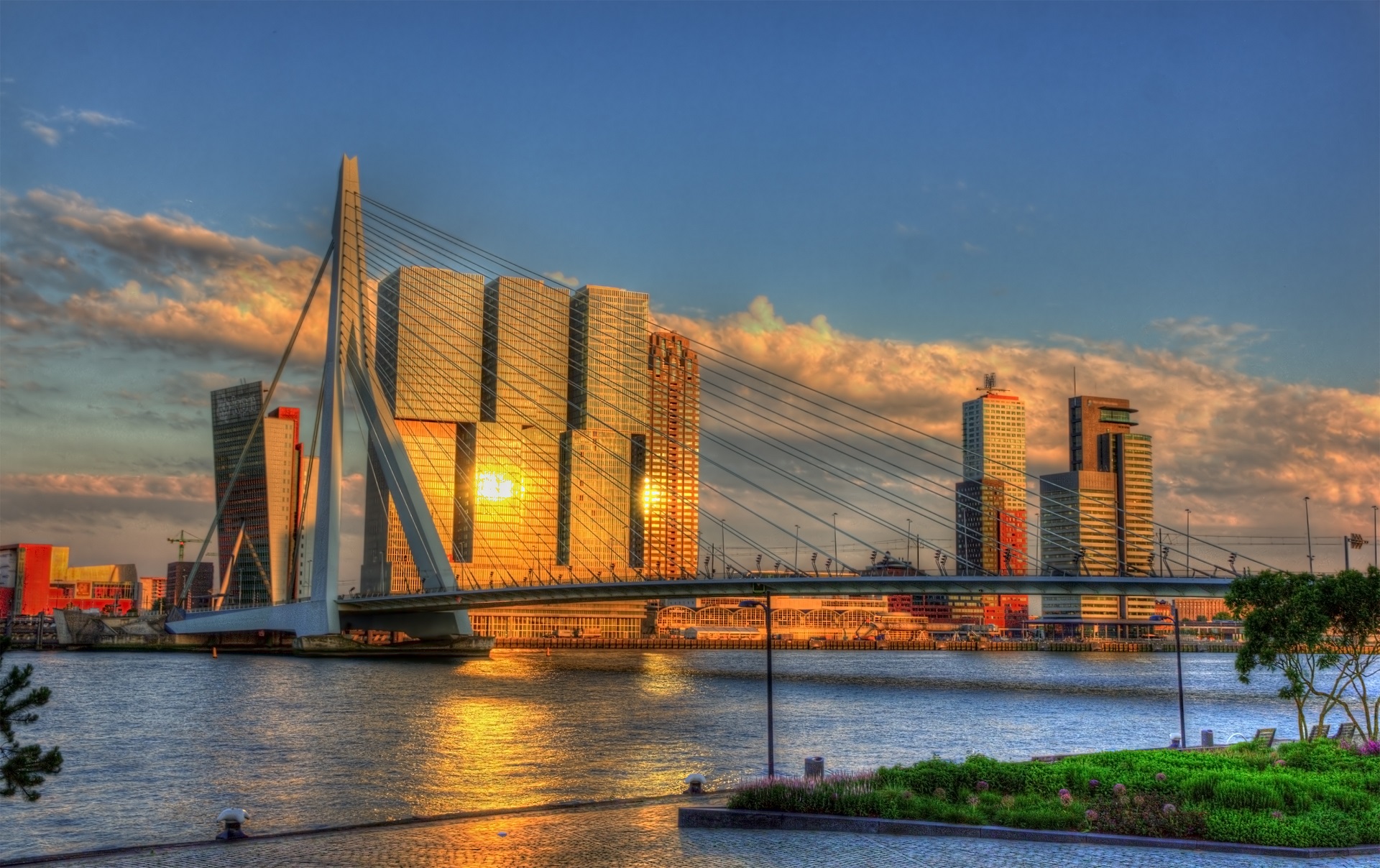 Rotterdam: Leave behind the quaint Holland for a preview 