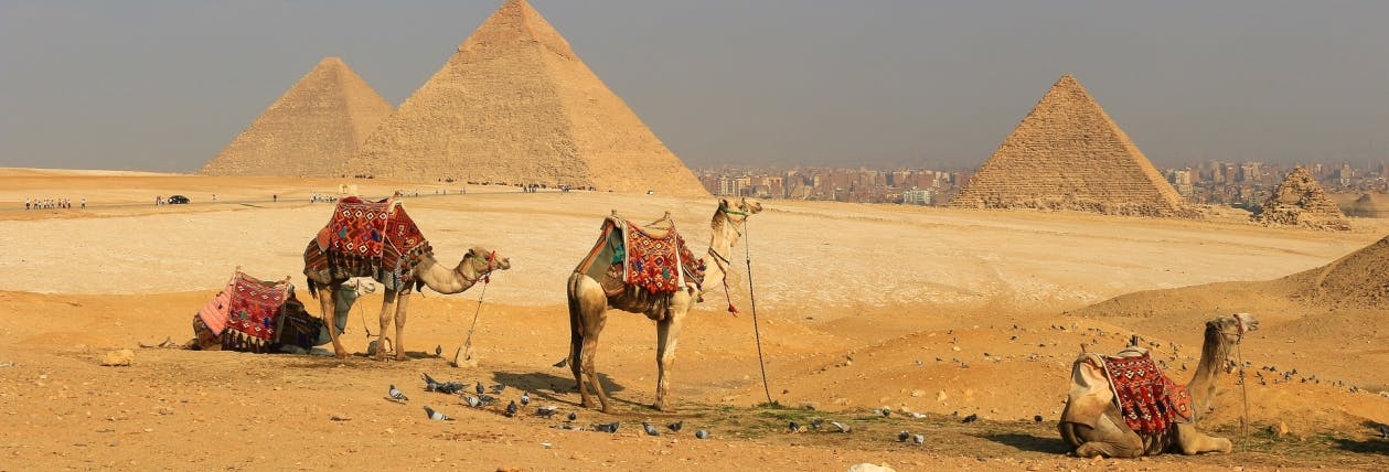 Picture of Giza